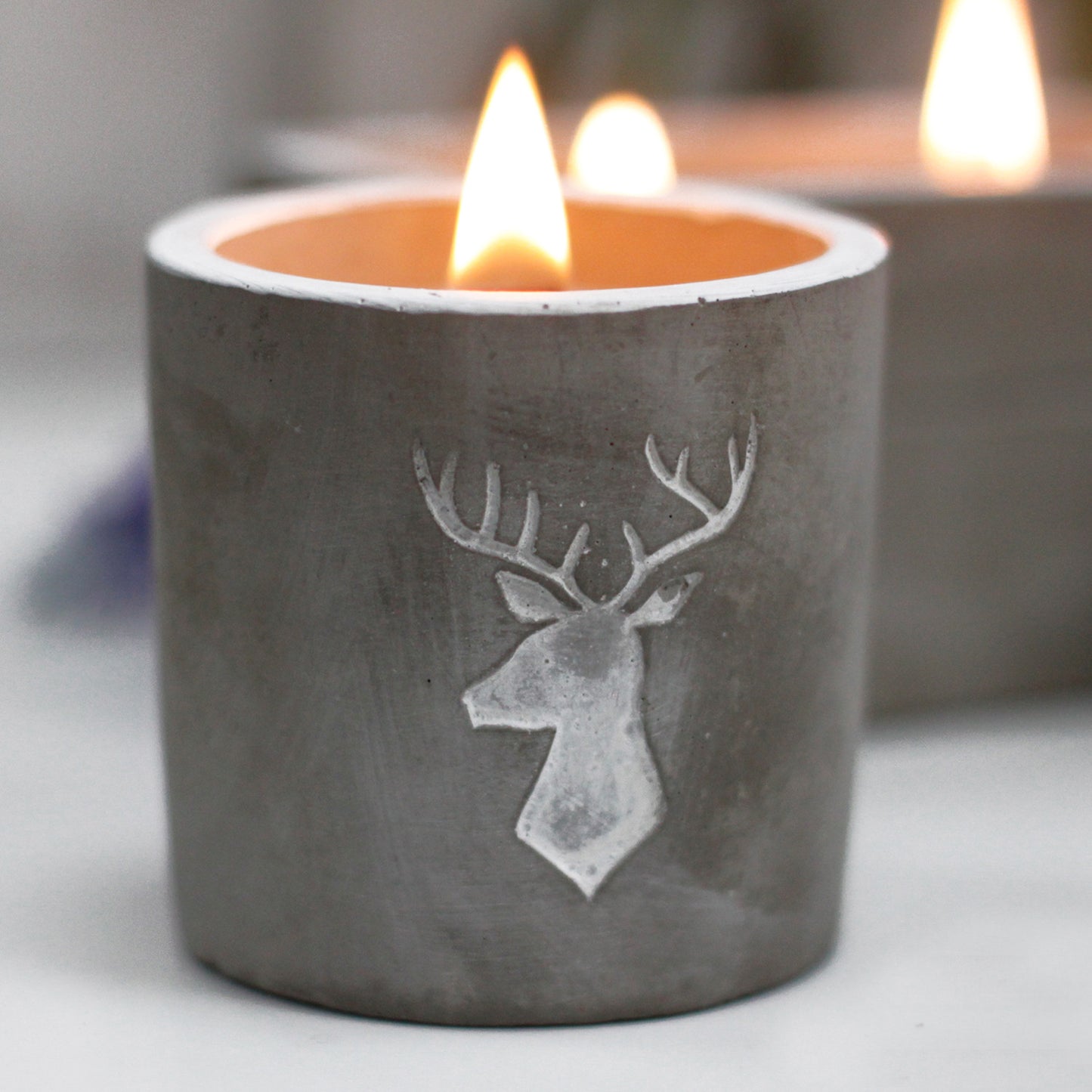 Wooden Wick Candle Med Pot - Stag Head - Whiskey and Woodsmoke