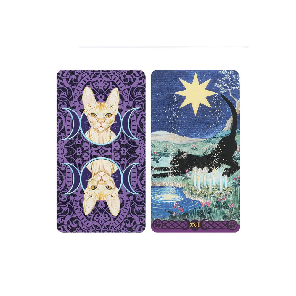 Pagan Cats Tarot Cards - Mystical Feline Insights - Thesoulmindspirit