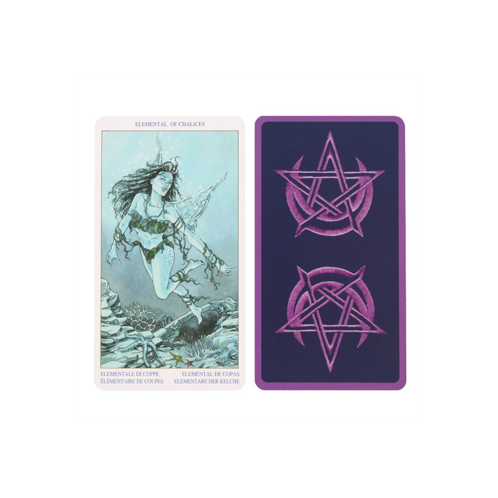Pagan Tarot Card Deck - Mystical Insights - Thesoulmindspirit